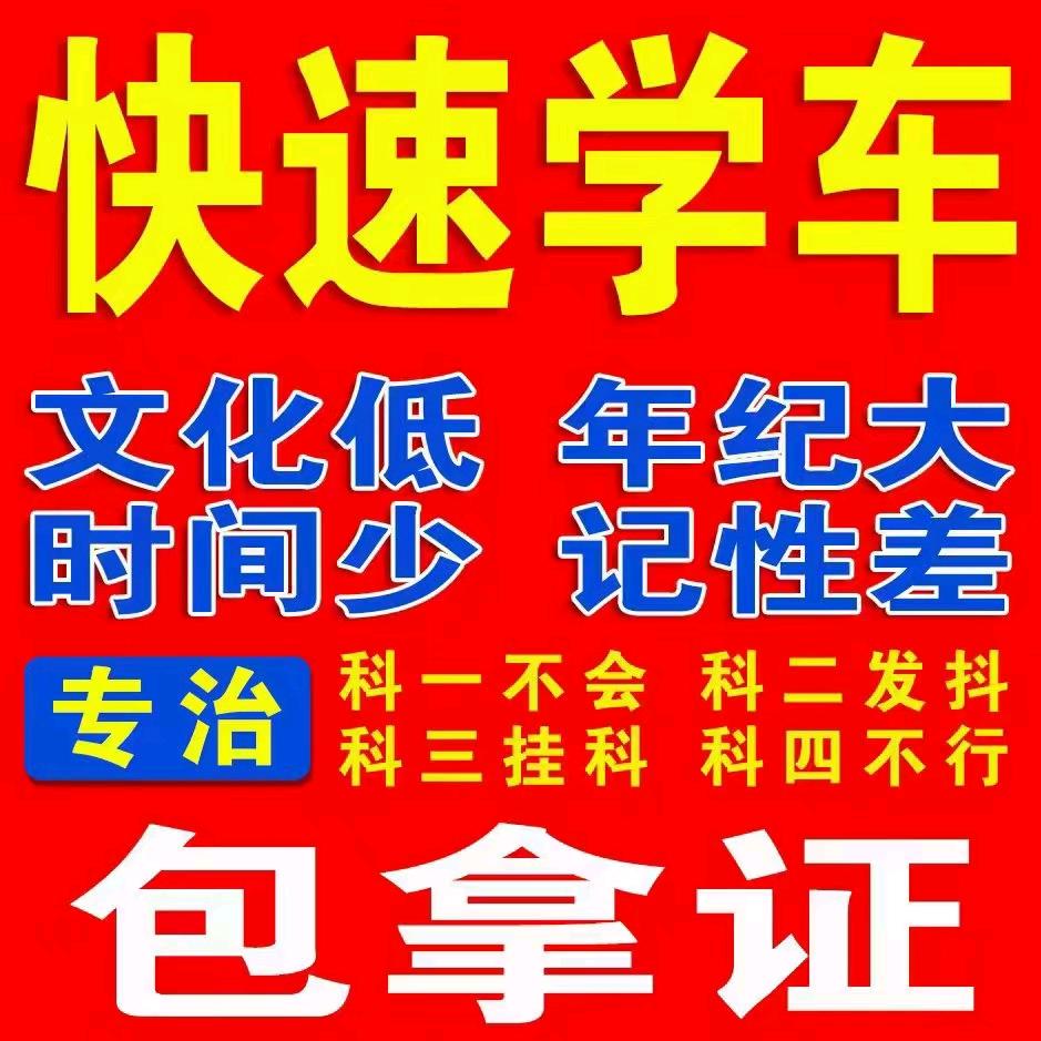 陈教练(轻松拿证祁东驾培)