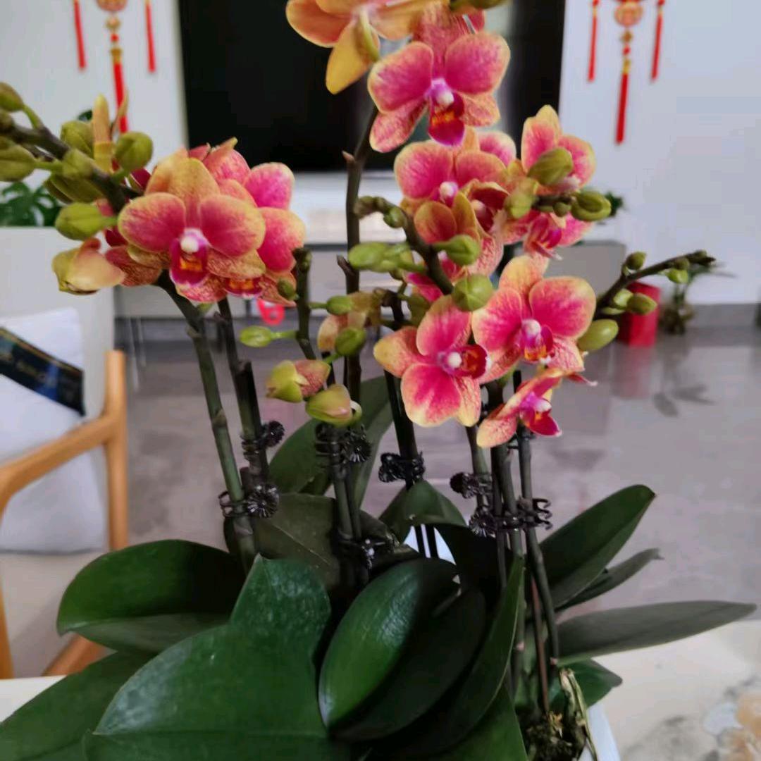 真心换真情🌹🌹🌹❤️❤️❤️