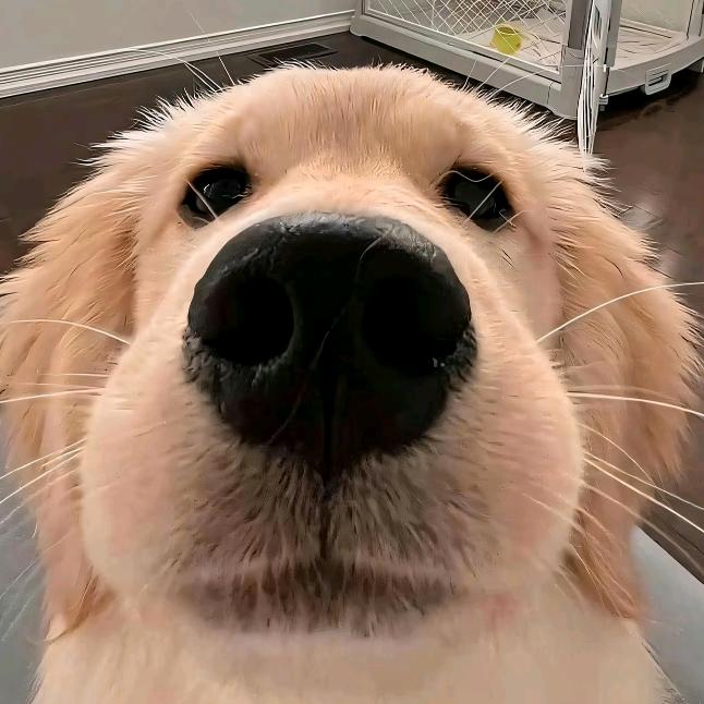明天见.