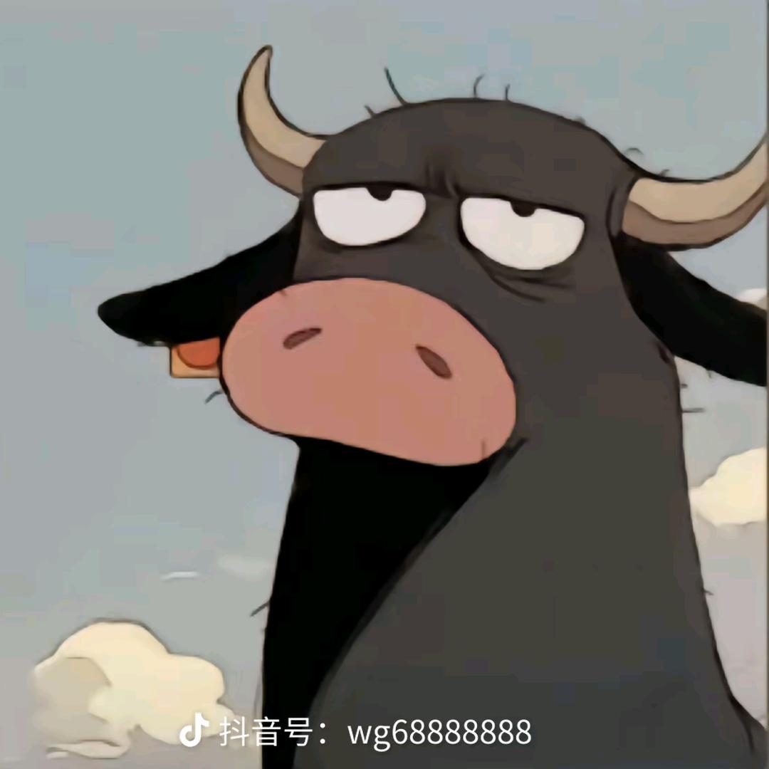 支欧z
