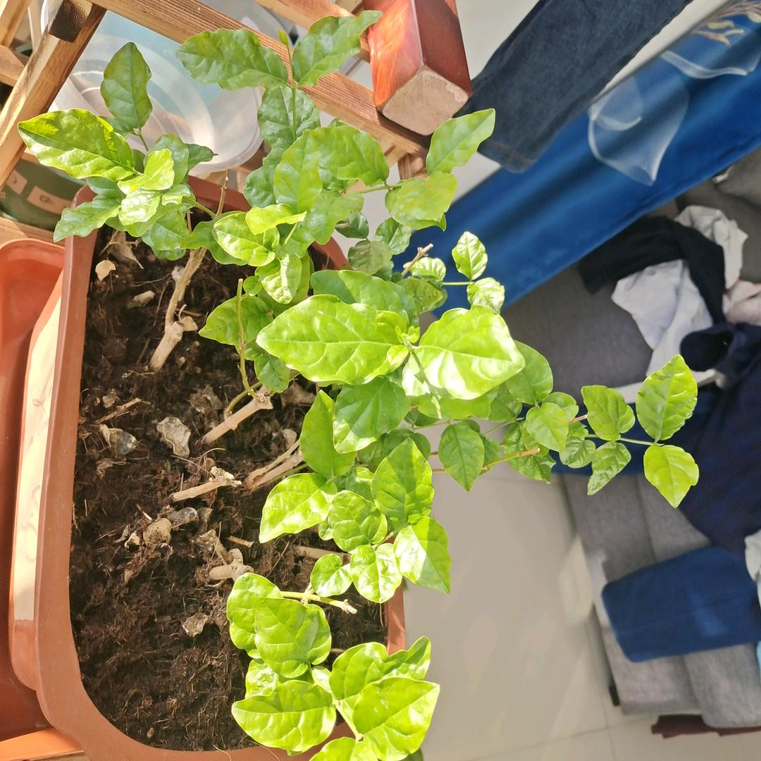 用户3531714266707漂泊