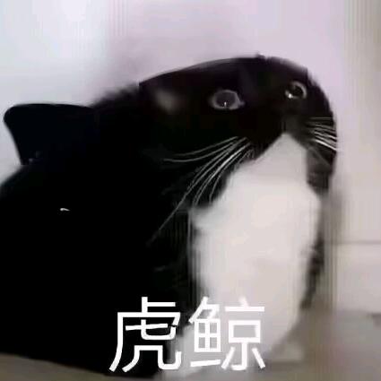 绿绿绿绿