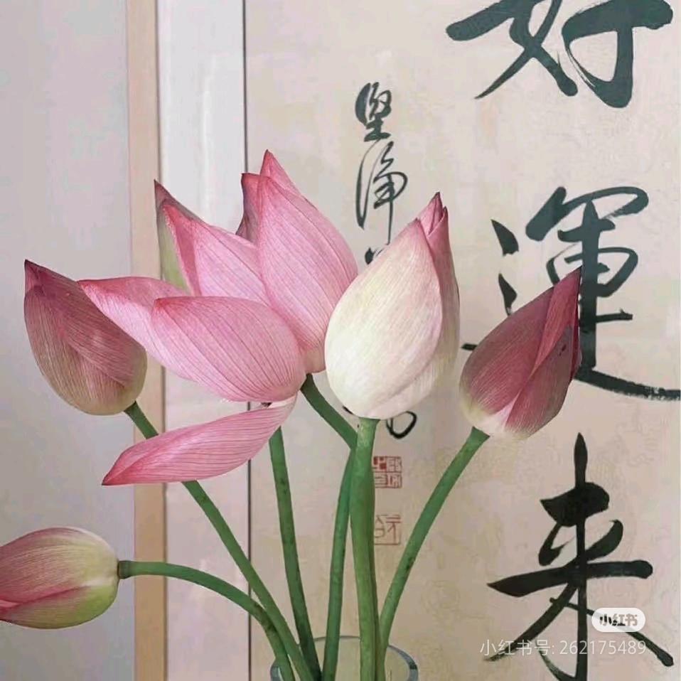 雁塔题名戈老师