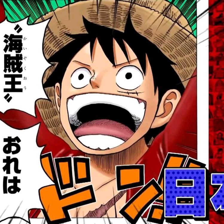 逐梦ONEPIECE