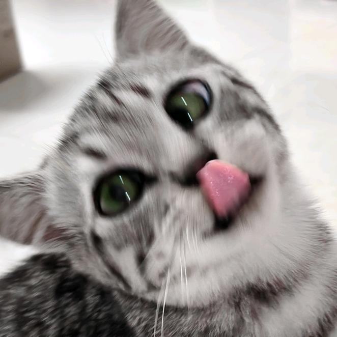 老公惩罚我给小三当0