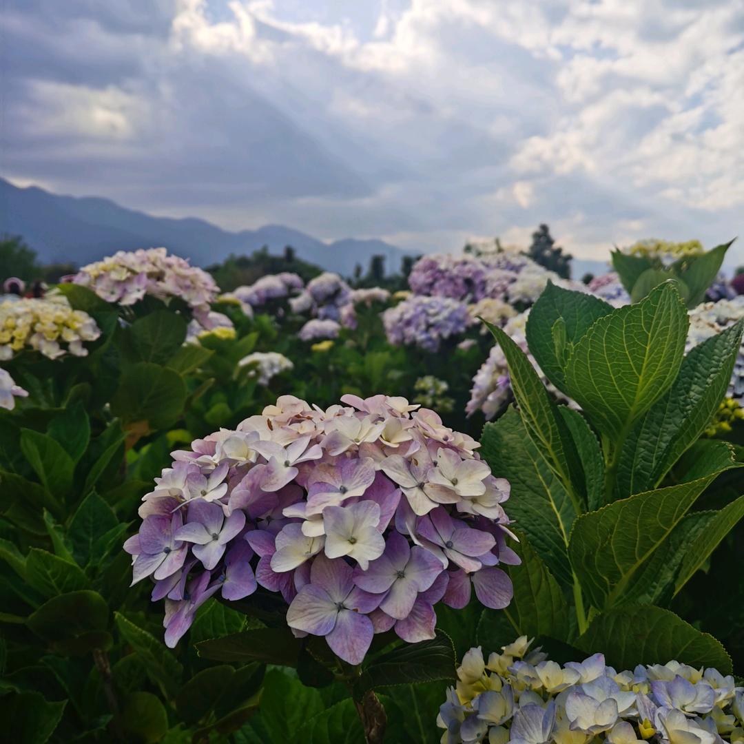 慢行致远