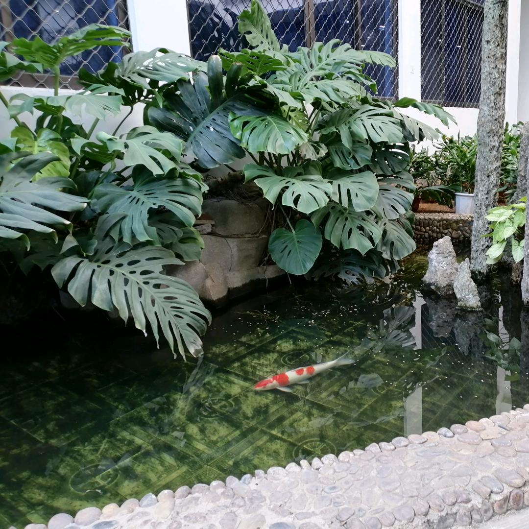 禹城👣