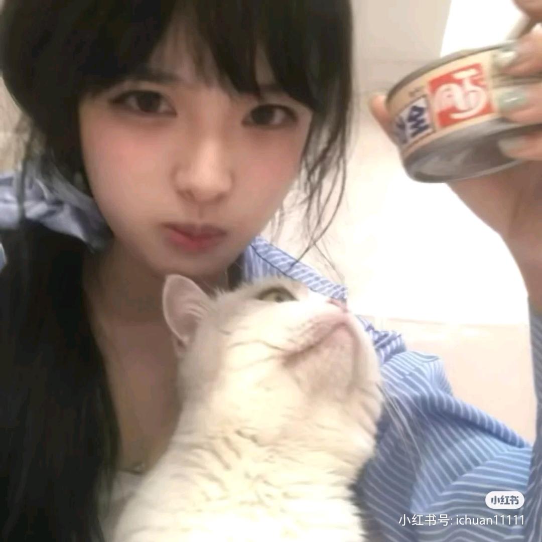 思思宠物外卖店