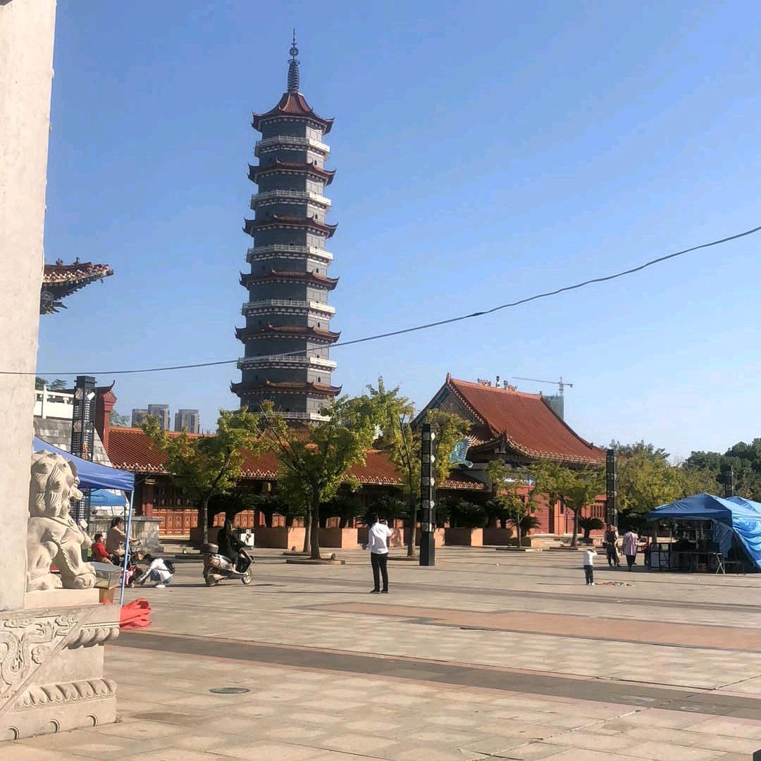 龙哥