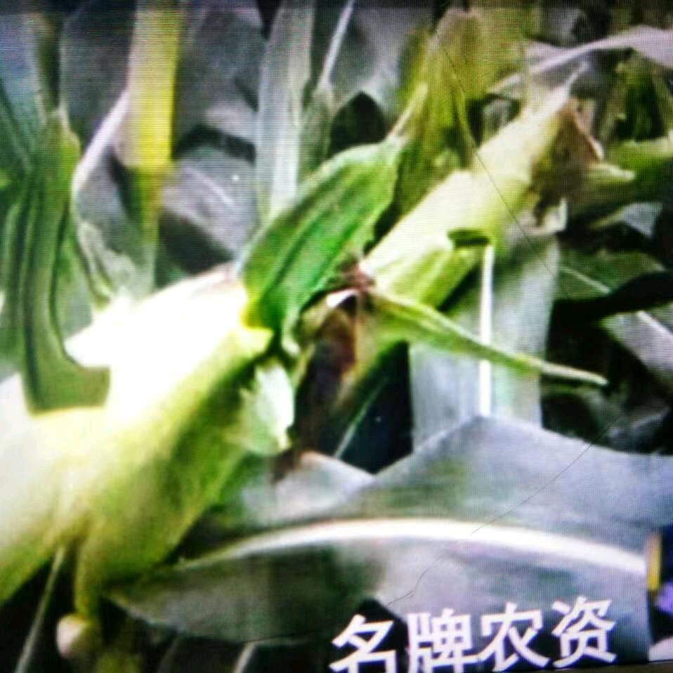 名牌农资（回关回赞）