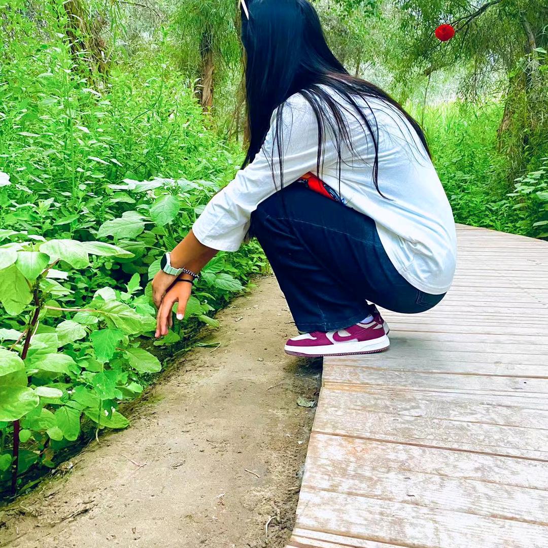阿瓦古丽