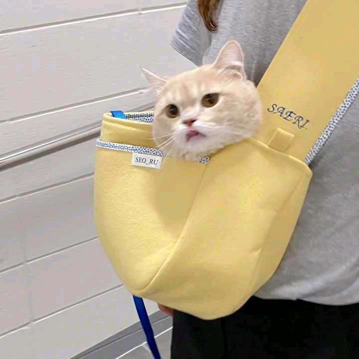 A  '