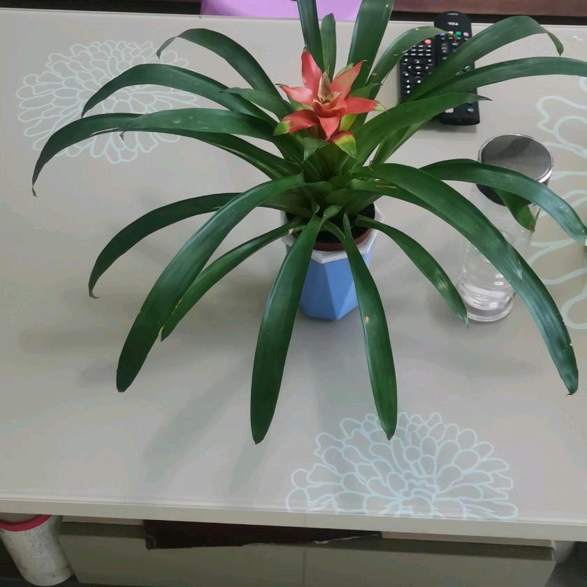 用户469