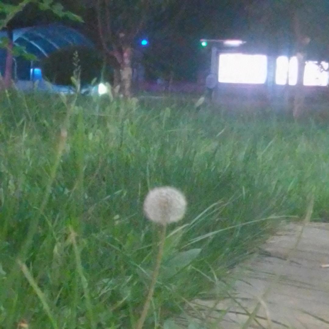 玉弟玉儿都是我