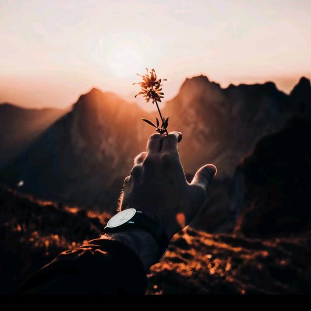 ໑ຼₒ₂₅涅槃重生꧔ꦿ