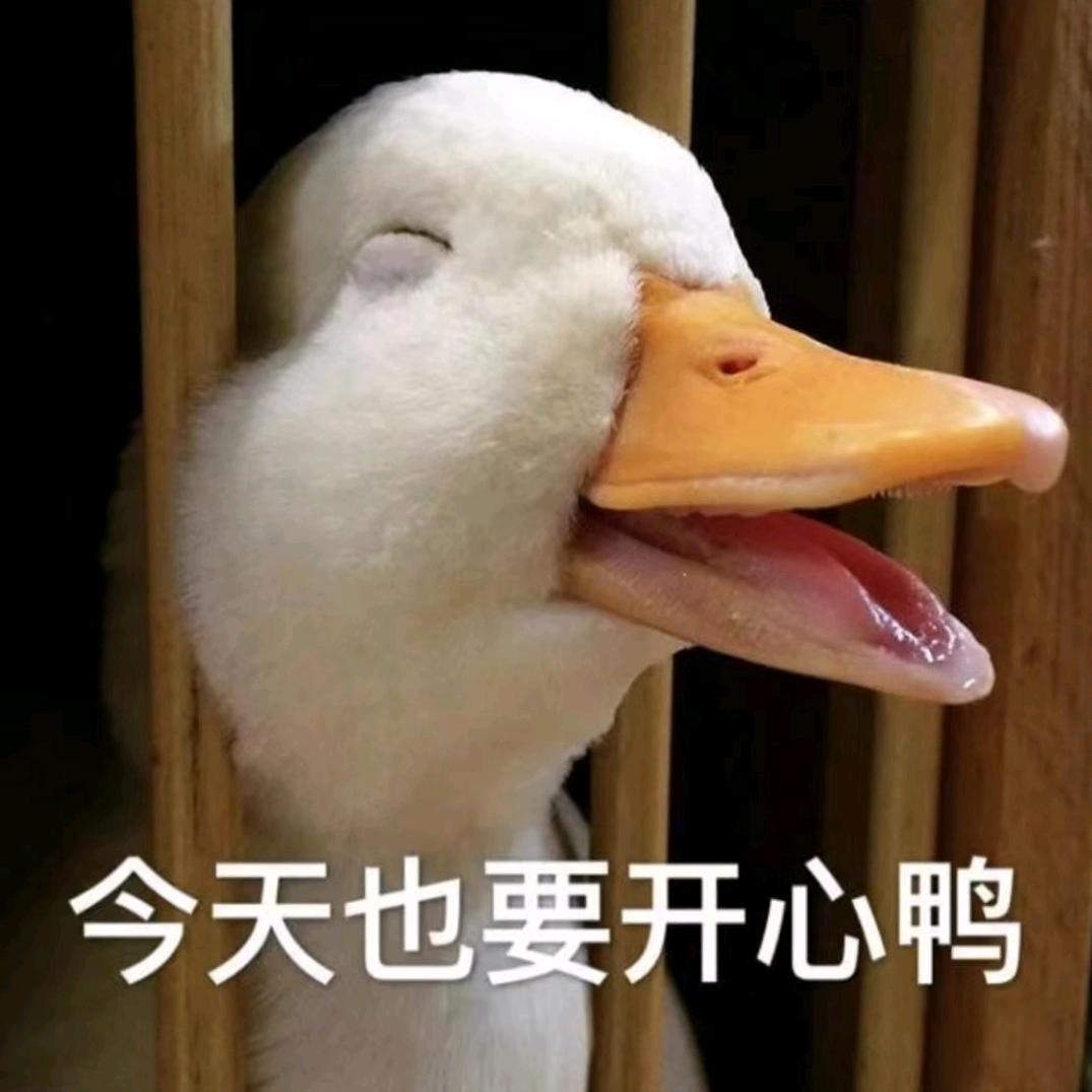 👑奥特曼打小怪兽👑