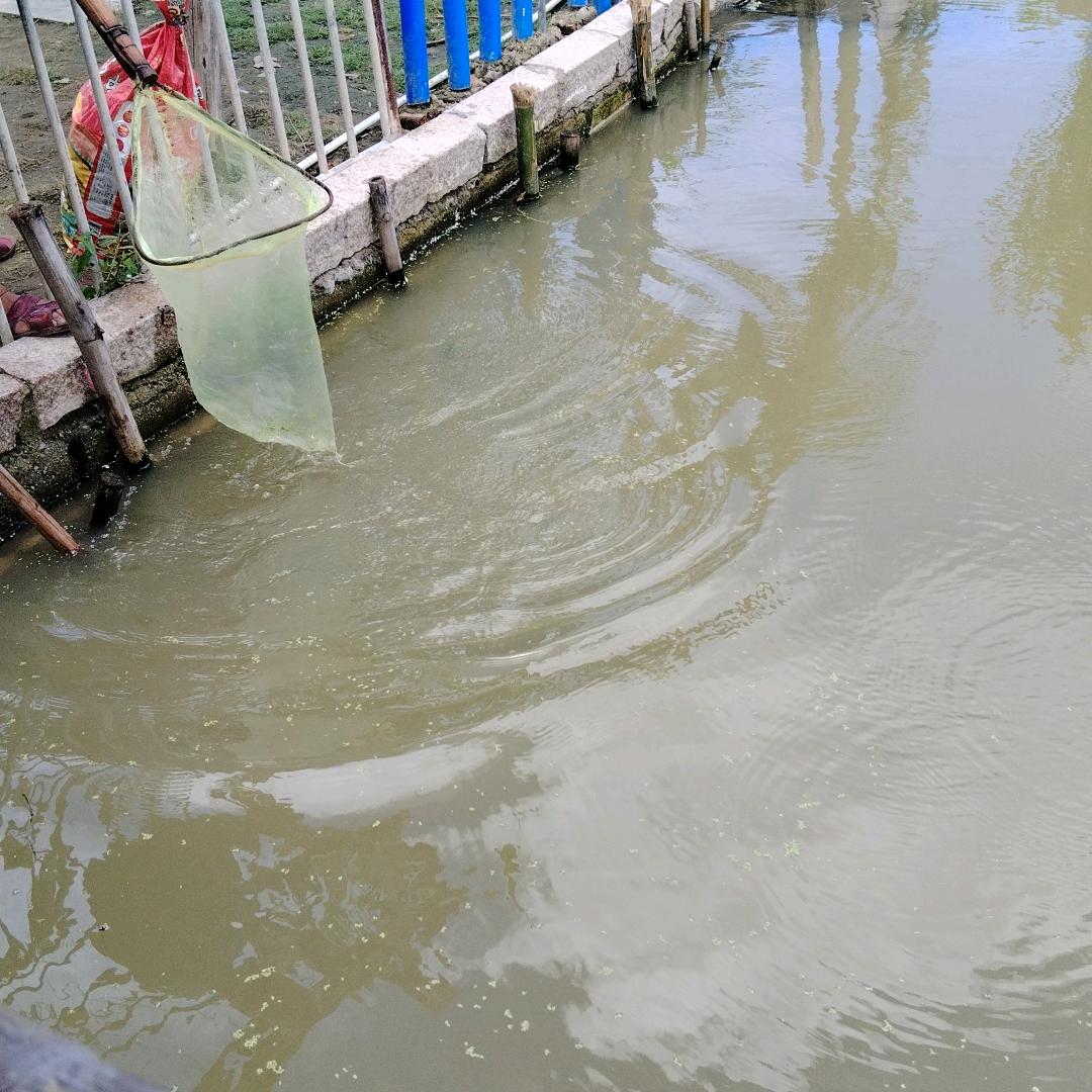 只此青绿花卉店