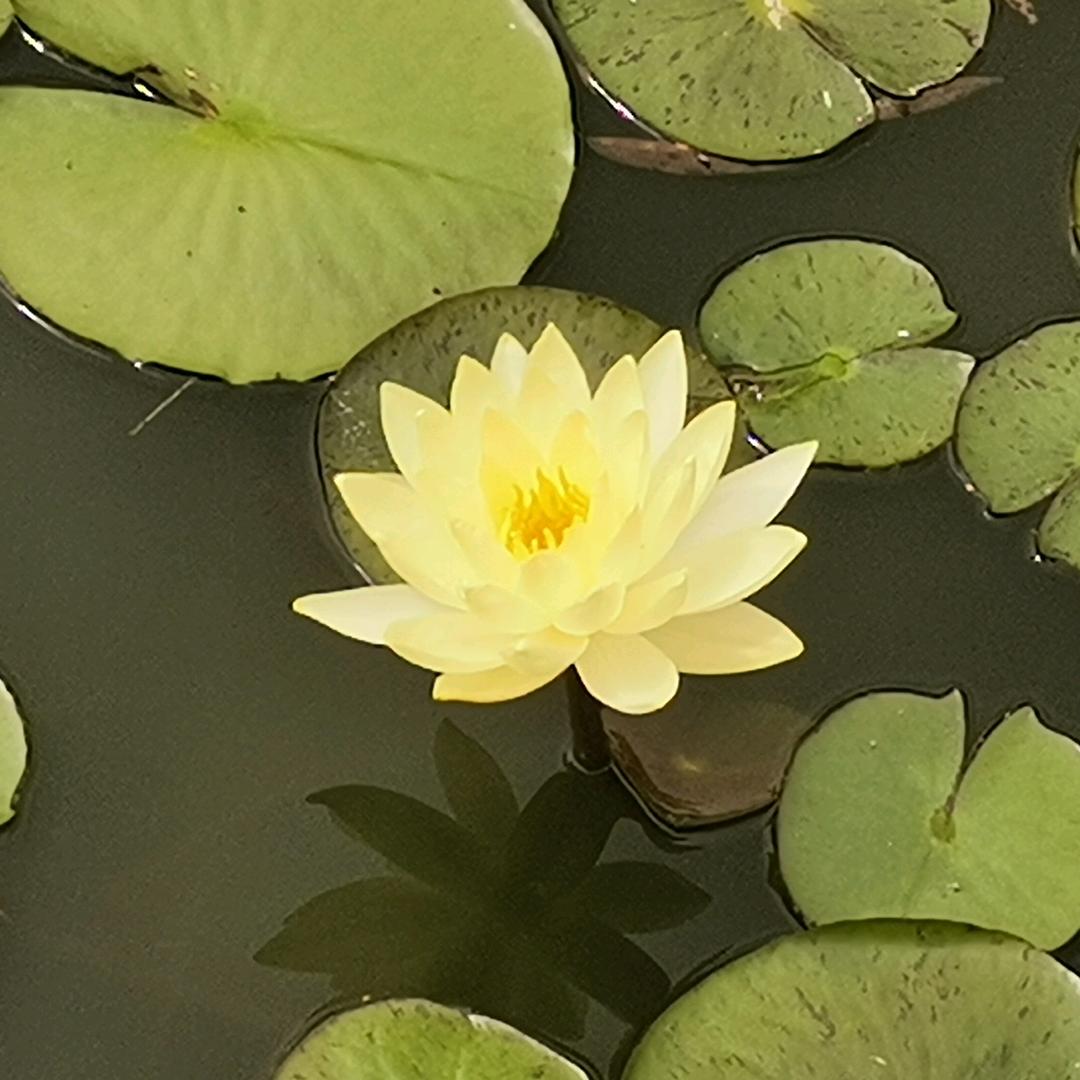 多财💰多亿🍎的嫦娥小可爱