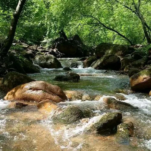 洪亮托辅·微光