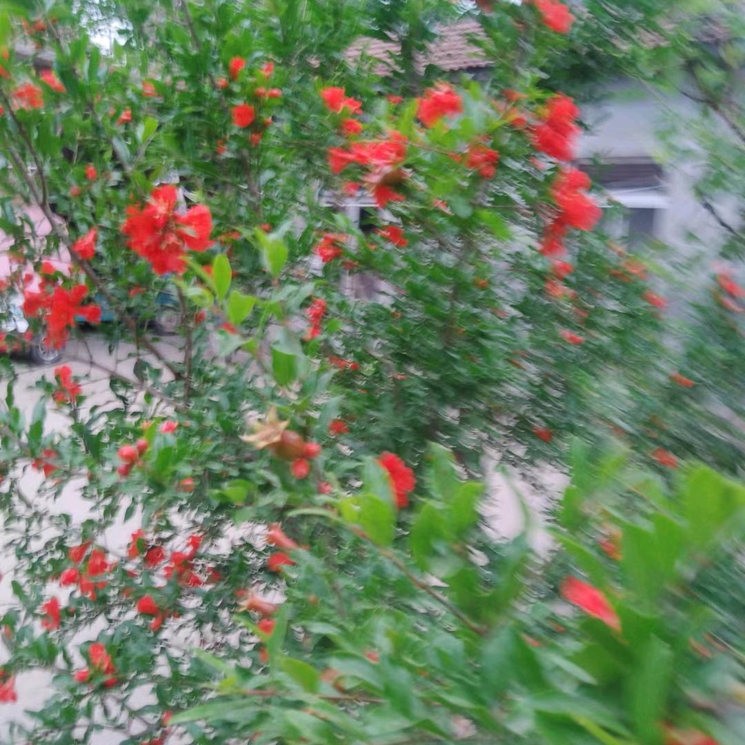 高青良哥善缘堂庆典婚庆公司
