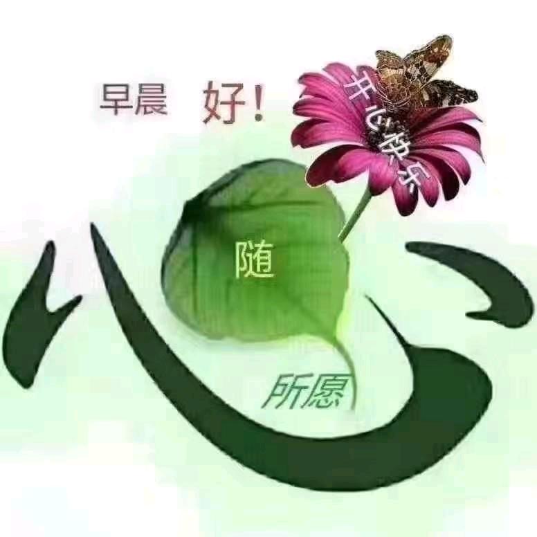 心灯！