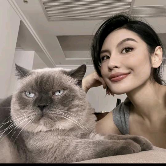 梁夜-直播爆款返场