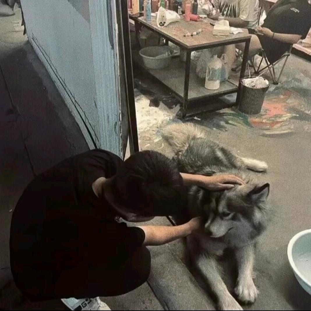 小小凡