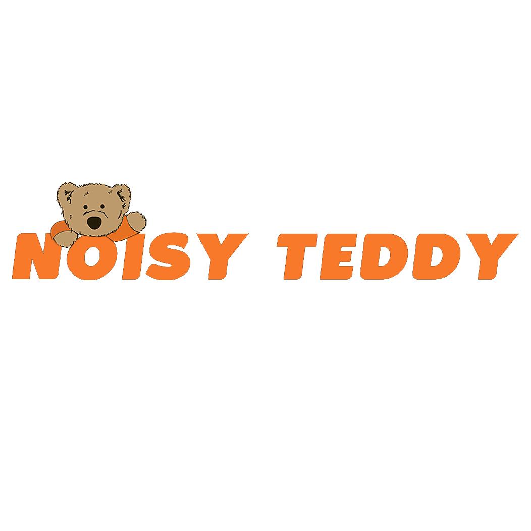 NOISYTEDDY NT潮牌女包