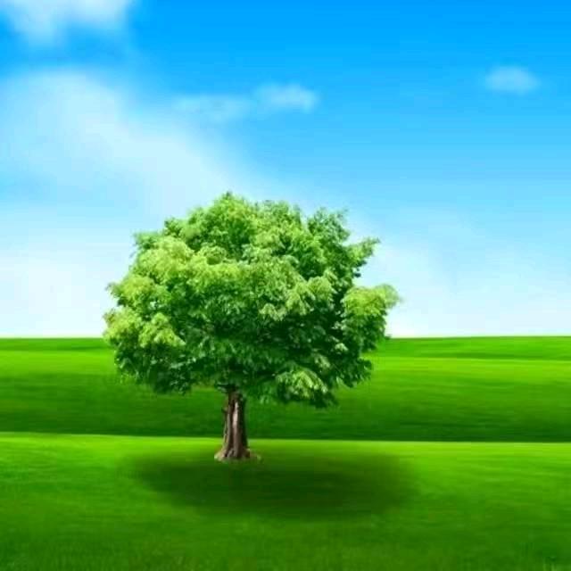 ～～～～开心就好