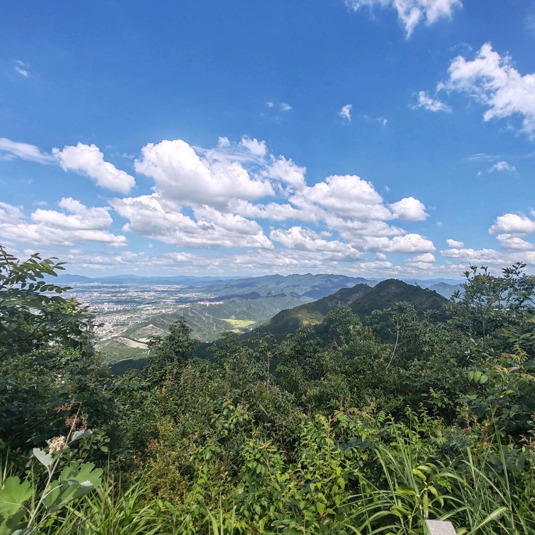 花自飘零🌹🌹