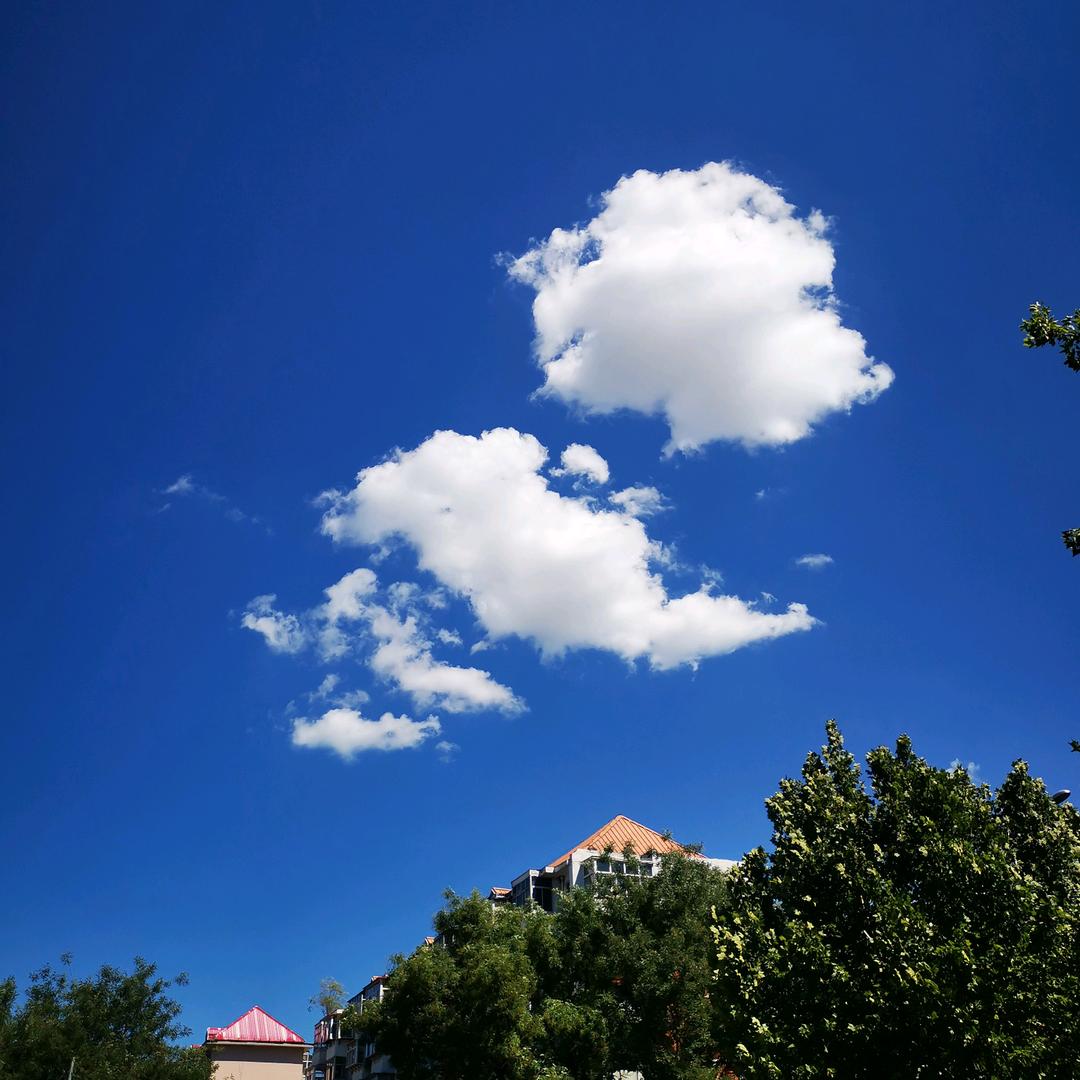 余生共度一束光