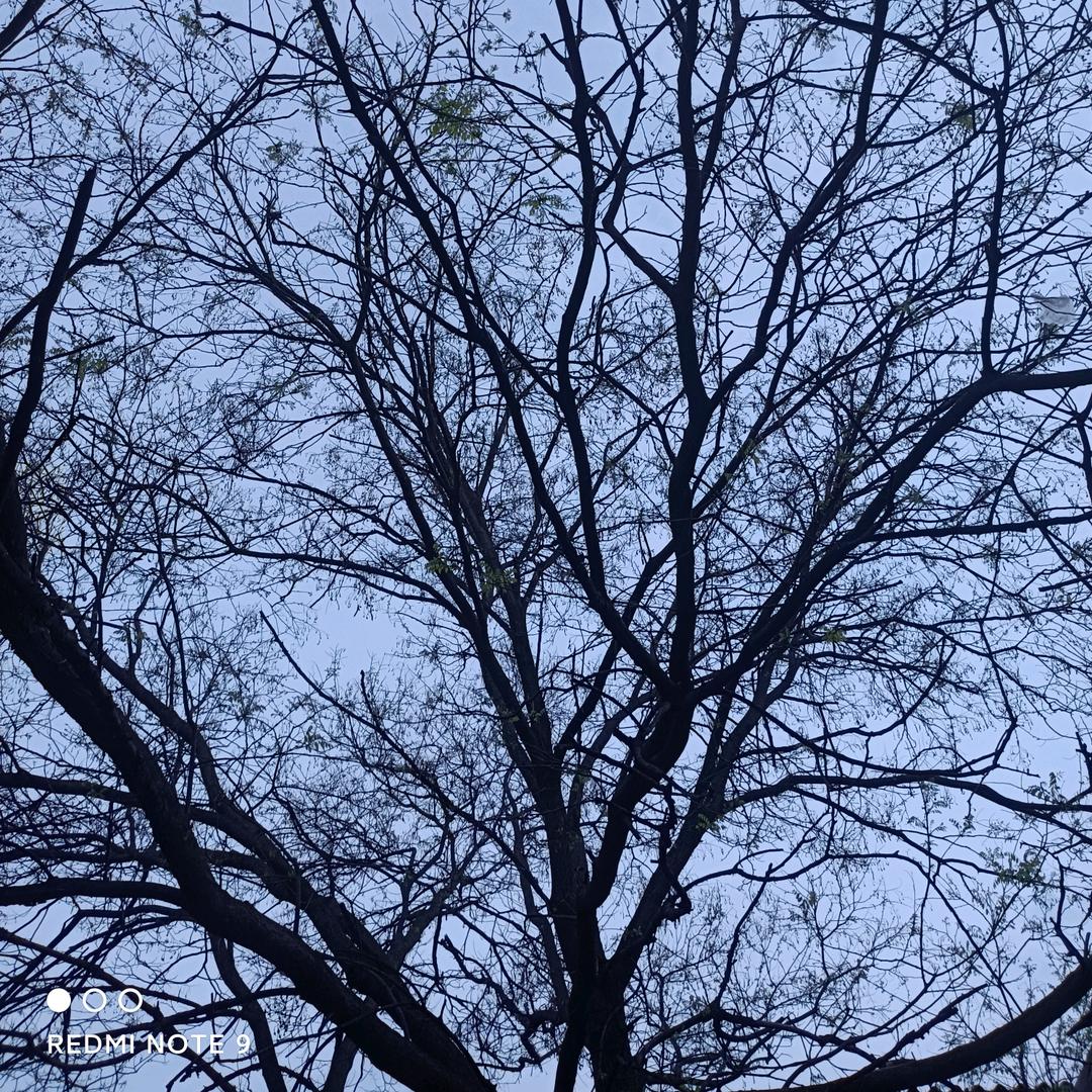 我家有个小超市