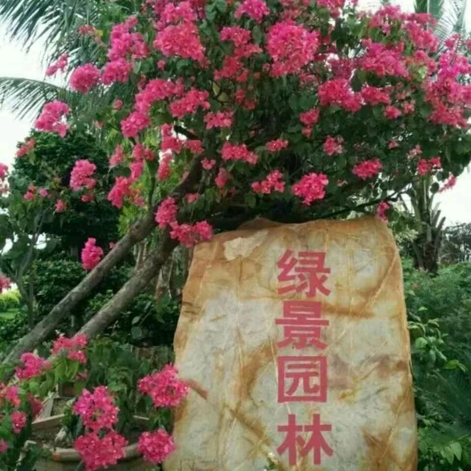 海南绿景园林工程有限公司