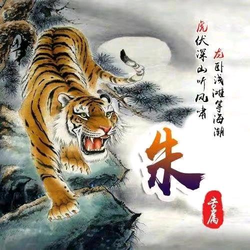 新东