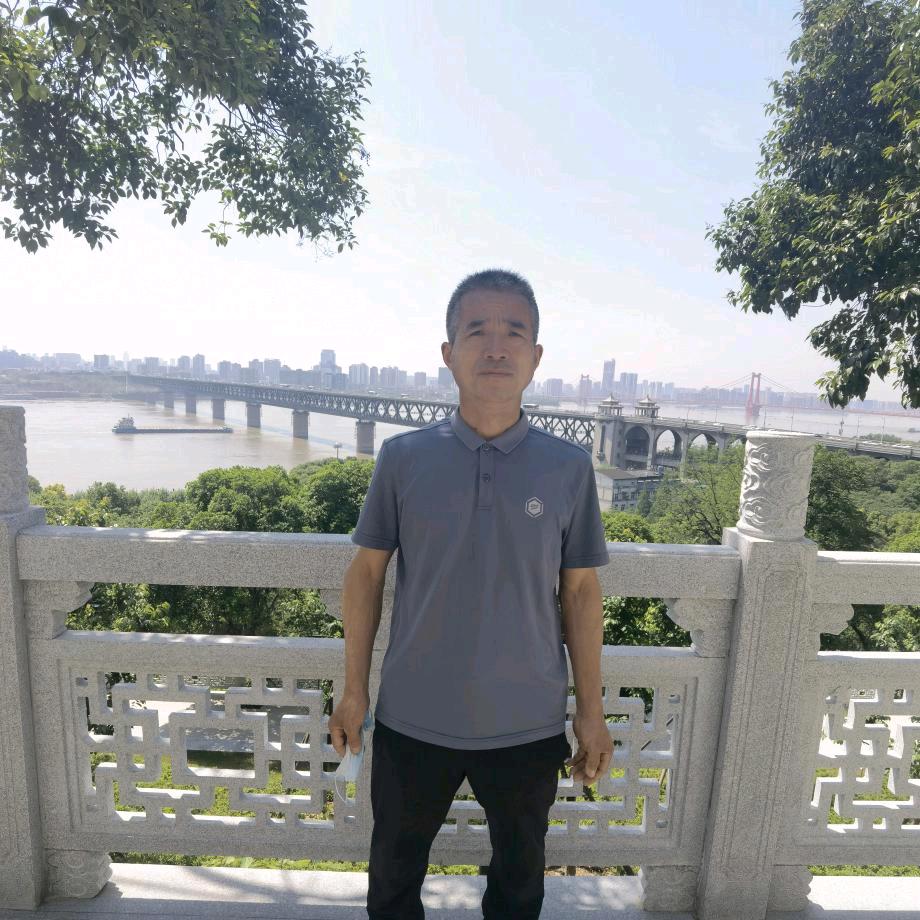 🇨🇳中茶金叶生