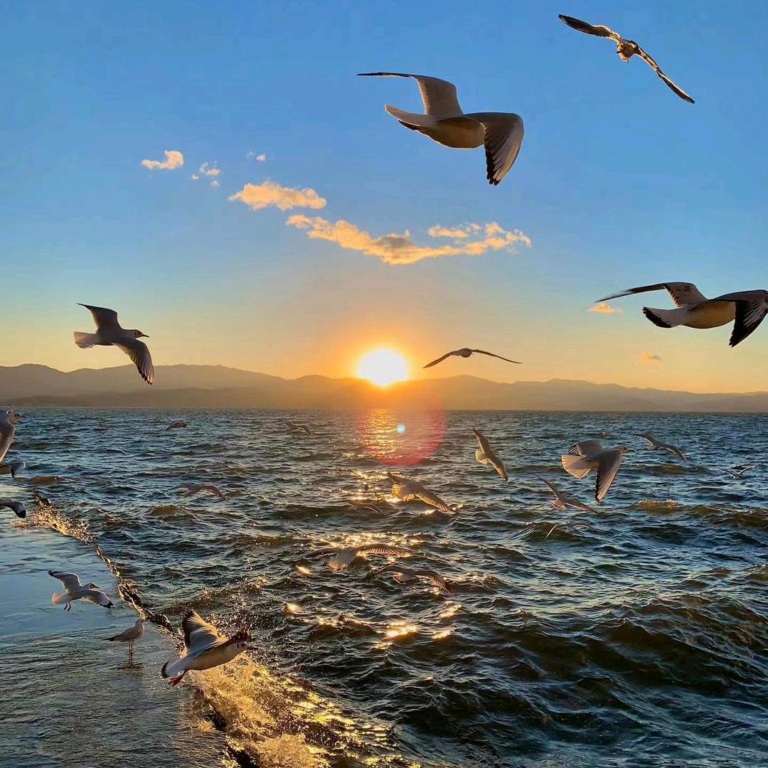 大海🌊