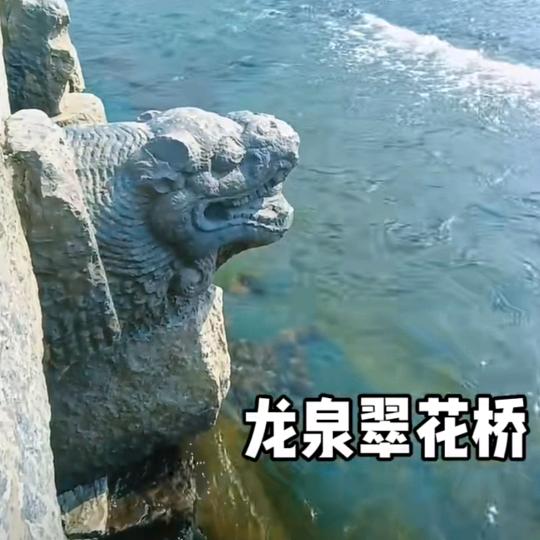 用户 小飛