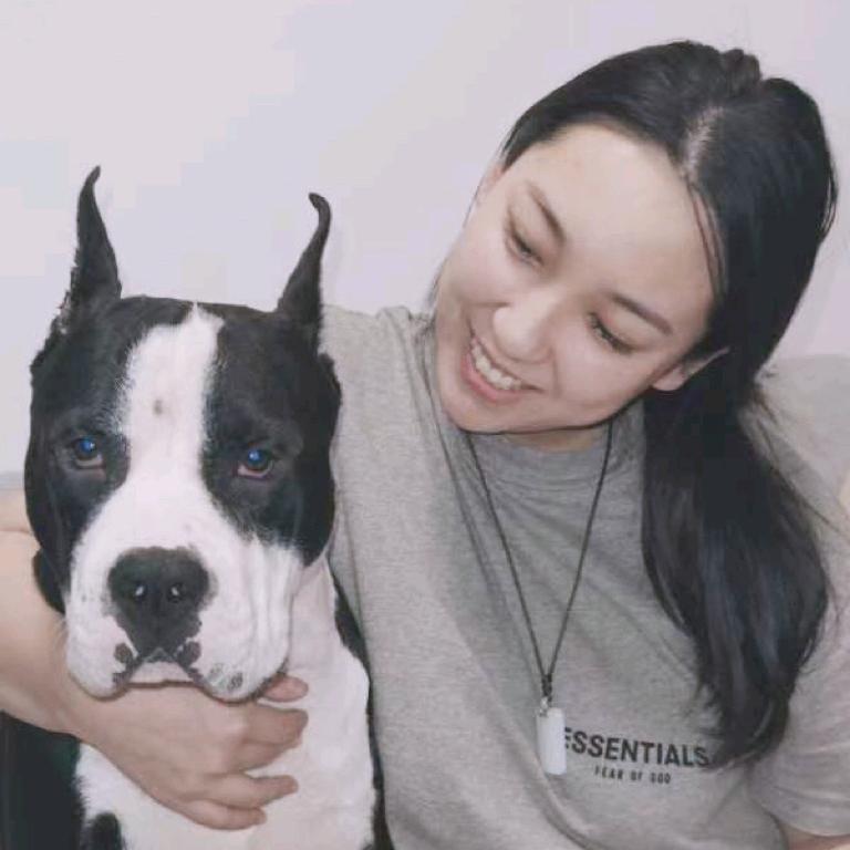 托尼是只斯塔福