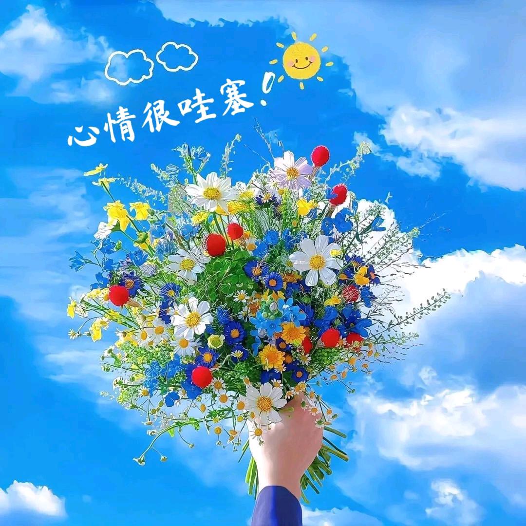 一顺百顺万事顺