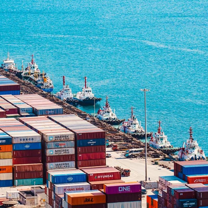 （进口）Yu姐爱好物