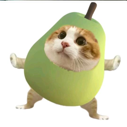 梨子猫