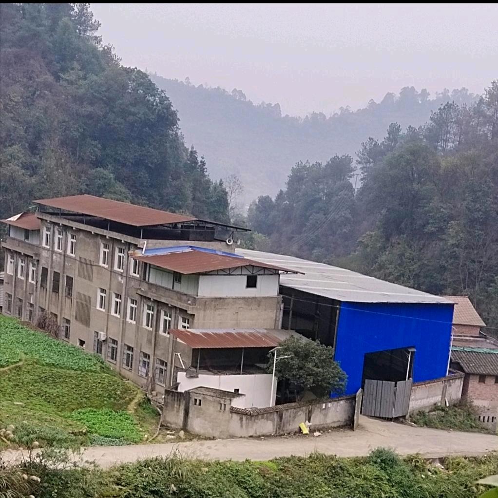 🌈♥柠檬❤️🌈