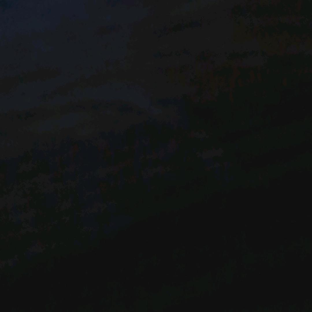 展翅A
