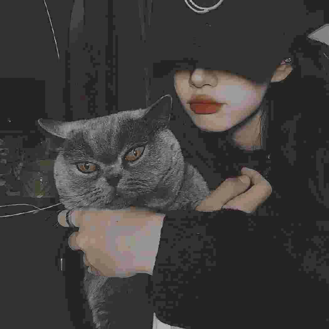 ᵃⁱᶻⁱʲⁱ