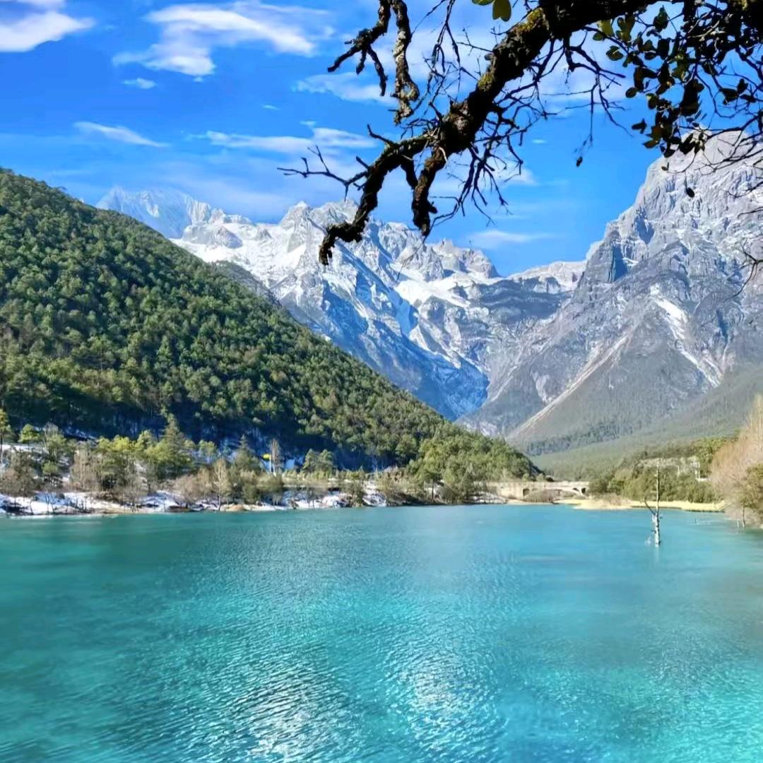顾问小芳