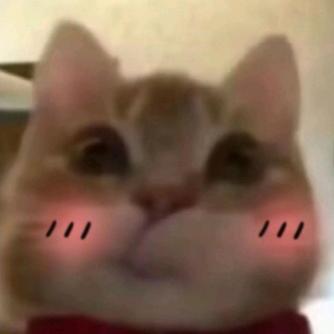 小兔叽～