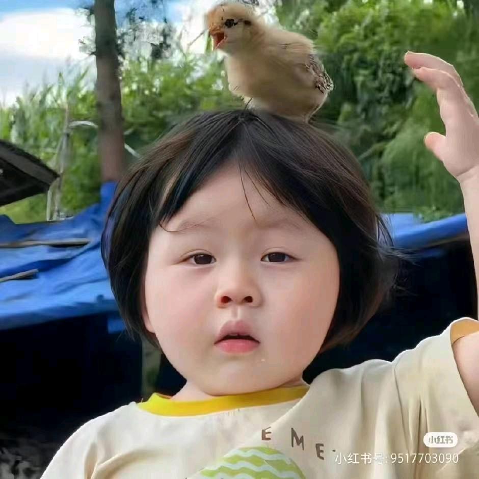 小憨憨🍔（919）