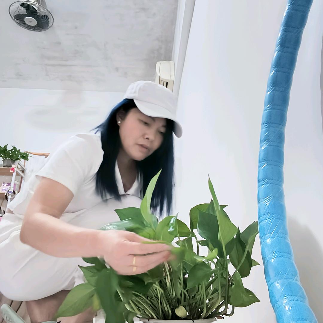 兰儿姐