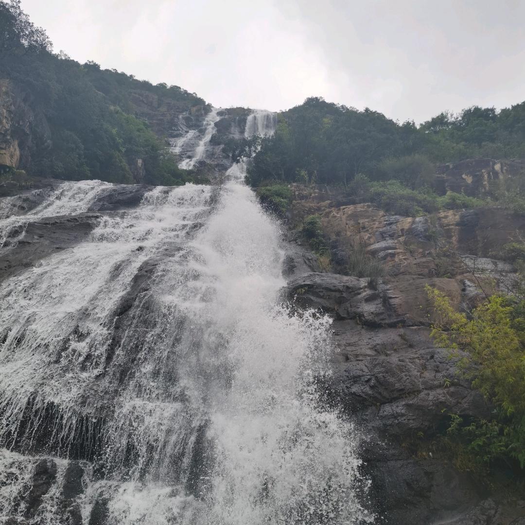 苹果🍎🍎🍎🍎🍎