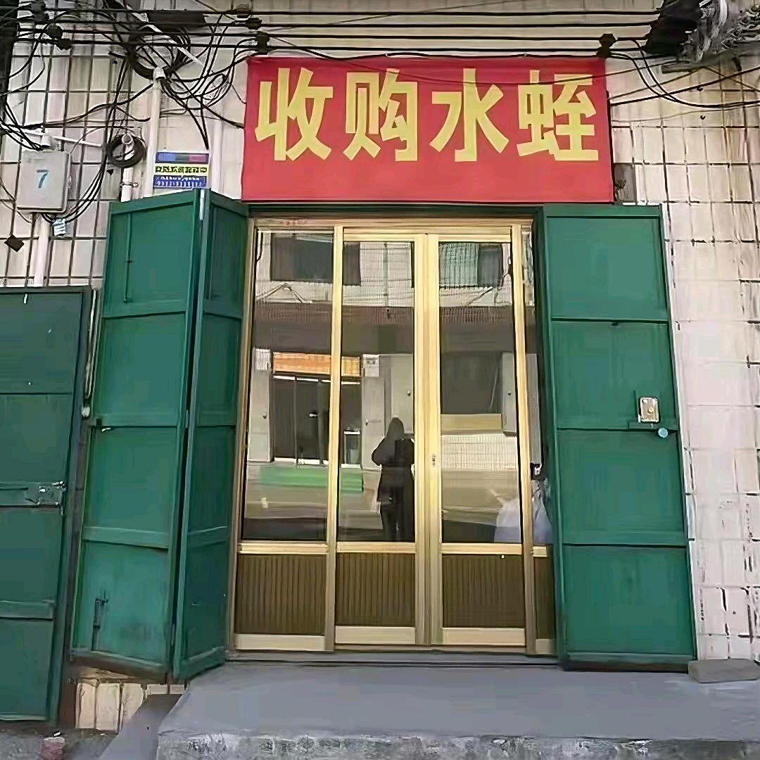 户外美兰赤之佳